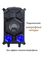 Портатиная колонка  National NSM-V450