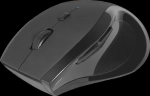 Беспроводная мышь Defender Accura MM-295 черный (52295)