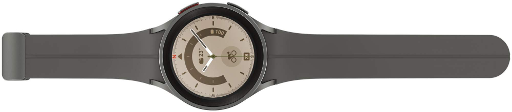 Смарт-часы Samsung Galaxy Watch5 Pro 45 мм GPS RU, серый титан