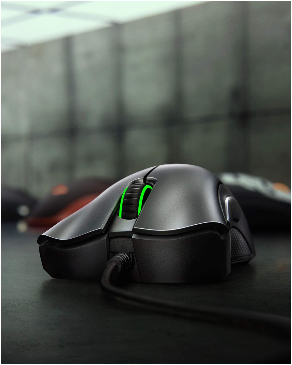 Игровая мышь Razer DeathAdder Essential Black/Green (RZ01-03850100-R3M1)