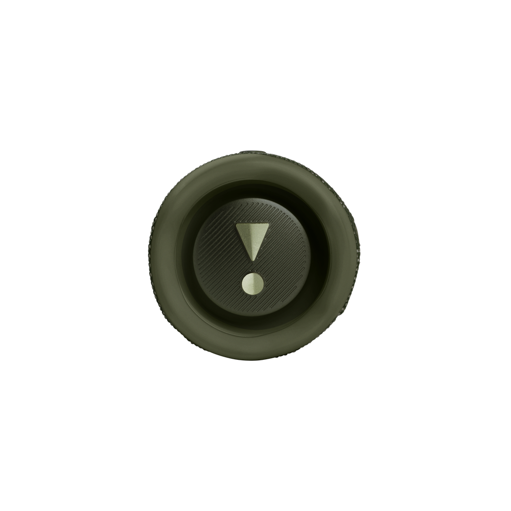 Портативная колонка JBL Flip 6 Green (JBLFLIP6GRENAM)