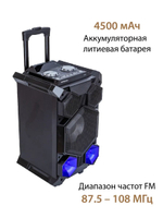 Портатиная колонка  National NSM-V450