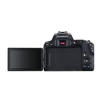 Фотоаппарат зеркальный Canon EOS 250D 18-55mm IS STM 3454C002 Black