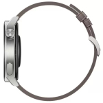 Смарт-часы Huawei GT 3 Pro ODN-B19 Light Titanium / Gray Leather