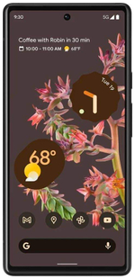 Смартфон Google Pixel 6 8/128GB Stormy Black