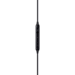Наушники Samsung AKG EO-IC100 Black (AKG EO-IC100)