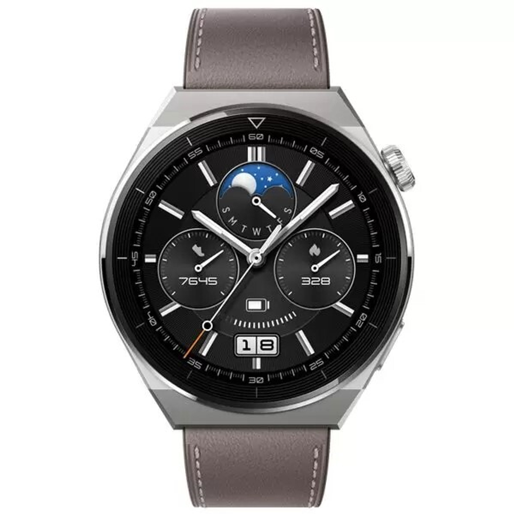 Смарт-часы Huawei GT 3 Pro ODN-B19 Light Titanium / Gray Leather