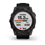 Часы Garmin Fenix 7X Solar титановый серый с черным ремешком